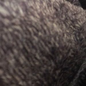 Meet your Posher, Anne